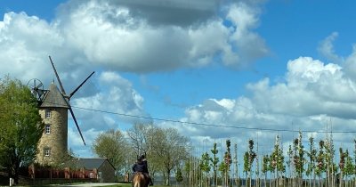 CIRCUIT L'ORÉE DU BOIS