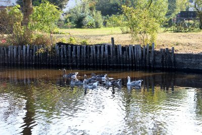 COEUR DE L'ÎLE DE GUERSAC