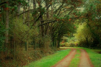 Le GR®39 : La Grande Traversée Bretonne