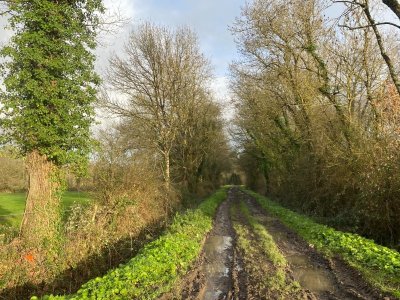 CIRCUIT DE LA COSSONIÈRE