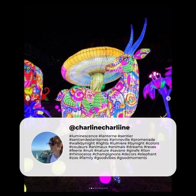 Luminescences 4 – Fiesta Latina