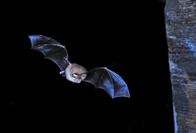 Circuit historique - colline de sion