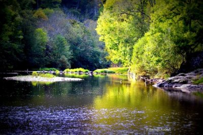 Aire naturelle de La Roque