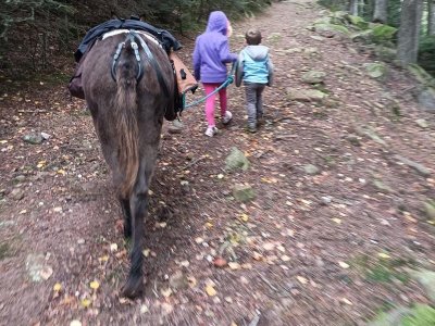 Circuit pédestre - La Hazelle Col d'Asson
