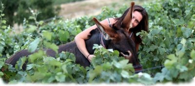 Asinerie de Pes Vitis