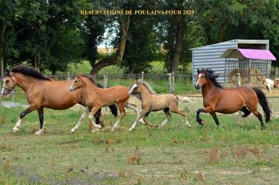 LES ÉCURIES DU BAS ROUGEAU