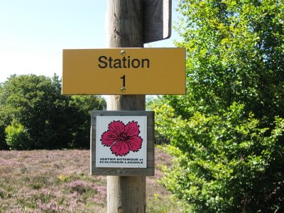 Sentier d'observation botanique et écologique du bois de Laguiole