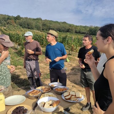Parcours en Chardonnay avec le Domaine de la Cozanne