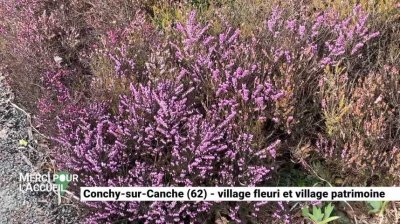Conchy-sur-Canche, un village au patrimoine fleuri