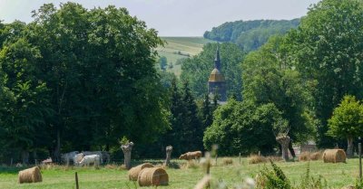 Buire-au-Bois, un patrimoine d’histoire, d’or et de verdure