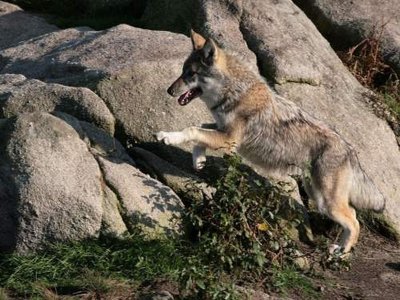 GR®Pays Les Monts de Guéret : la boucle de l’eau en écomobilité