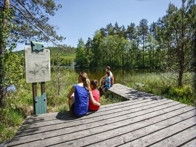 Tourbière de l'étang de Hanau