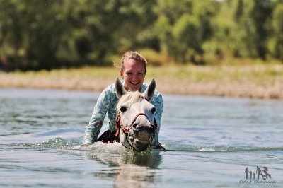 Elevage Dou Pantaï - ferme équestre