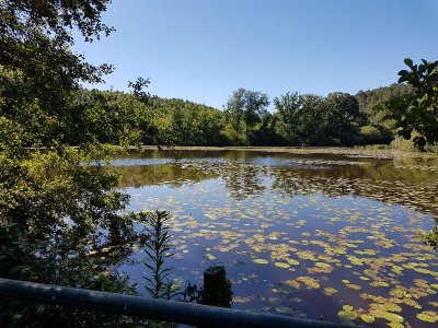 SENTIER VTT DE CARABOSSE