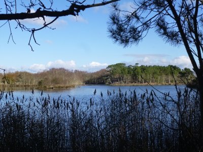 Le Polder de Mousterlin