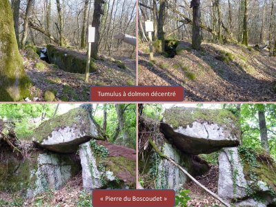 Sentier d'interprétation du dolmen - Cellettes