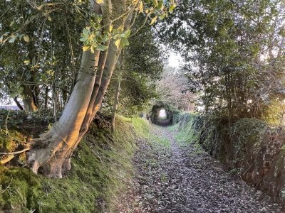 Autour de Beau Soleil