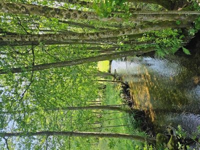 Circuit poussette Le Ménil