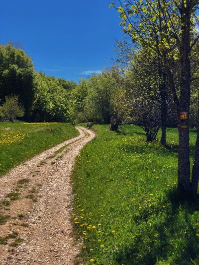 Tour de Pays VTT Bugey - Grand Colombier - Espace FFC Ain Forestière
