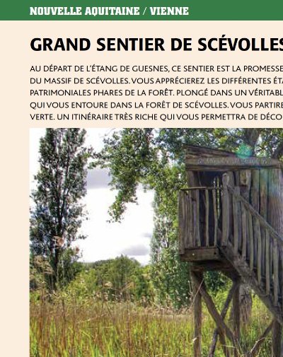 Forêt de Scévolles