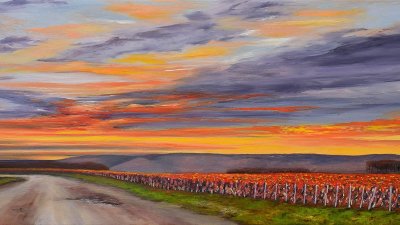 Balade à vélo dans les Crémants de Bourgogne