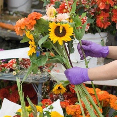 L'un des sens floral