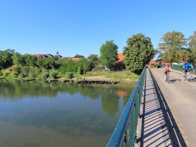 BL613 - Le Rhin au naturel