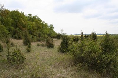 Le Coteau du Chatel - Feigneux
