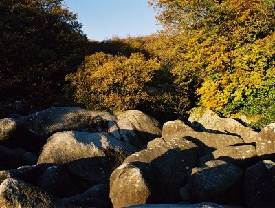 Les landes de Locarn