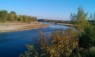 Réserve naturelle nationale du val d'Allier