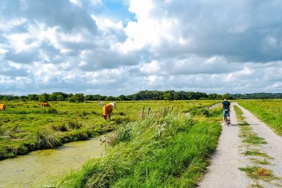 VÉLO DÉTOURS - ENTRE SILLON ET MARAIS