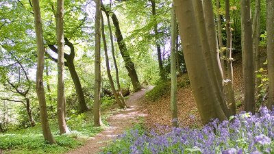 Balade Verte - Circuit des 2 Monts (SA 2)