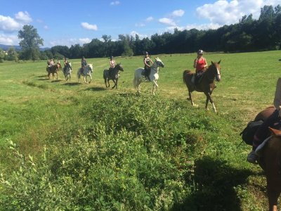 Écurie de la Source Pompadour