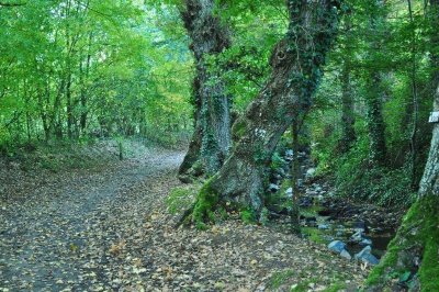 La vallée de la Vaunoise