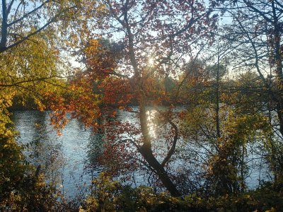 Parc départemental de L’Île-Saint-Denis