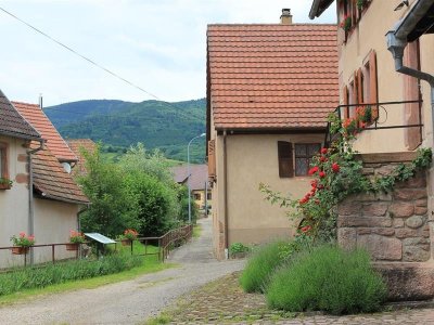 Chemin du Patrimoine "Le verre est dans le fruit"