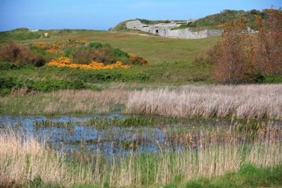 Le Vieux Fort et Marais