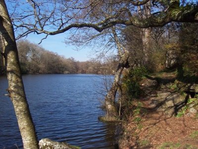 Bois et Etang de Pen Mur