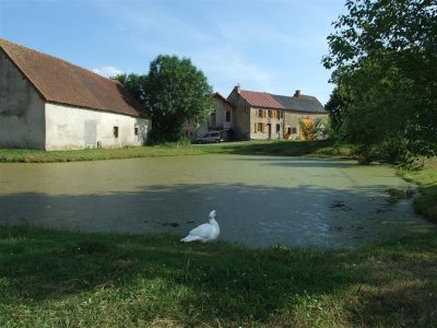 Mare communale du Peux
