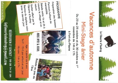 La flânerie d'Audrey