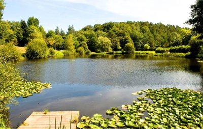 Forêt domaniale de Camors, Floranges, Lanvaux