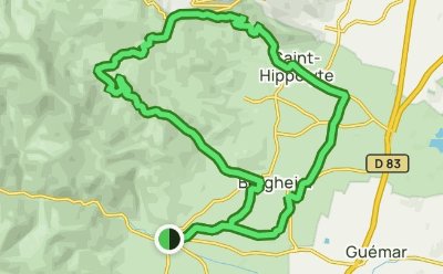 BL241 - Châteaux et grands crus