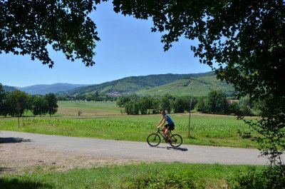 Véloroute de la vallée de Munster