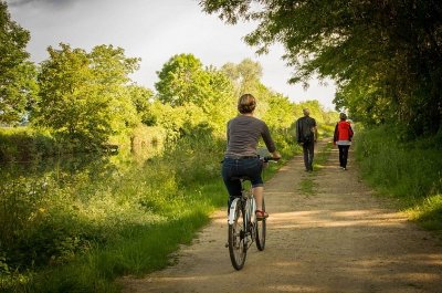BL780 - De part et d’autres du Rhin, de Breisach à Brisach
