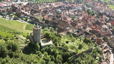 BL522 - Villages médiévaux au cœur du vignoble