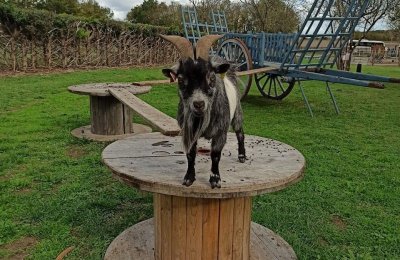 Ferme Pédagogique de La Cressonnière