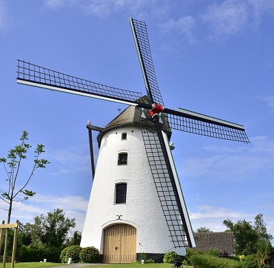 Moulin blanc