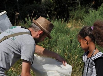 Réserve Naturelle des Marais de Séné