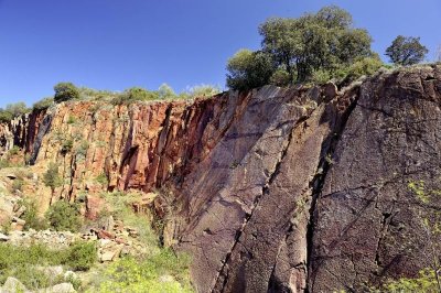 RESERVE NATURELLE REGIONALE DE COUMIAC