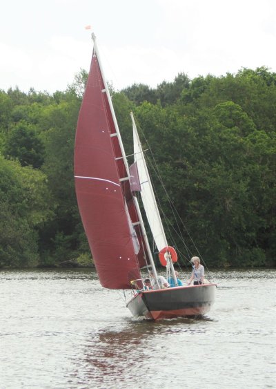 VINCENT GOIN - LES PASSAGERS DE BULLOPS